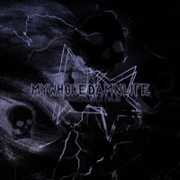 MYWHOLEDAMNLIFE - Single - SADINPRADA & pulsi