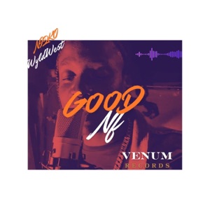 Good NF 2 (Lola Doll Remix) - Single