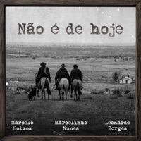Marcelo Holmos, Marcelinho Nunes & Leonardo Borges - Não É de Hoje