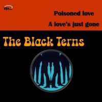 Poisoned love - Single - MARC & The Black Terns