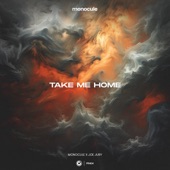 Take Me Home (Extended Mix) artwork