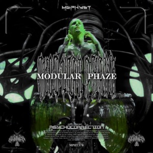 Psychocorrection - Single
