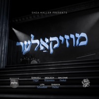 MusiKaller - מוזיקאלער - Shea Kaller Band