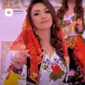 Shamia prej meje
