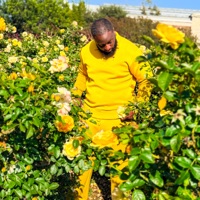Flowers - Single - CalcKnowledge