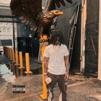 Bald Eagle - Single - Baby Z