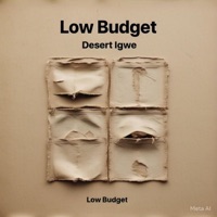 Low budget (feat. Jolly bro) - Single - Desert Igwe
