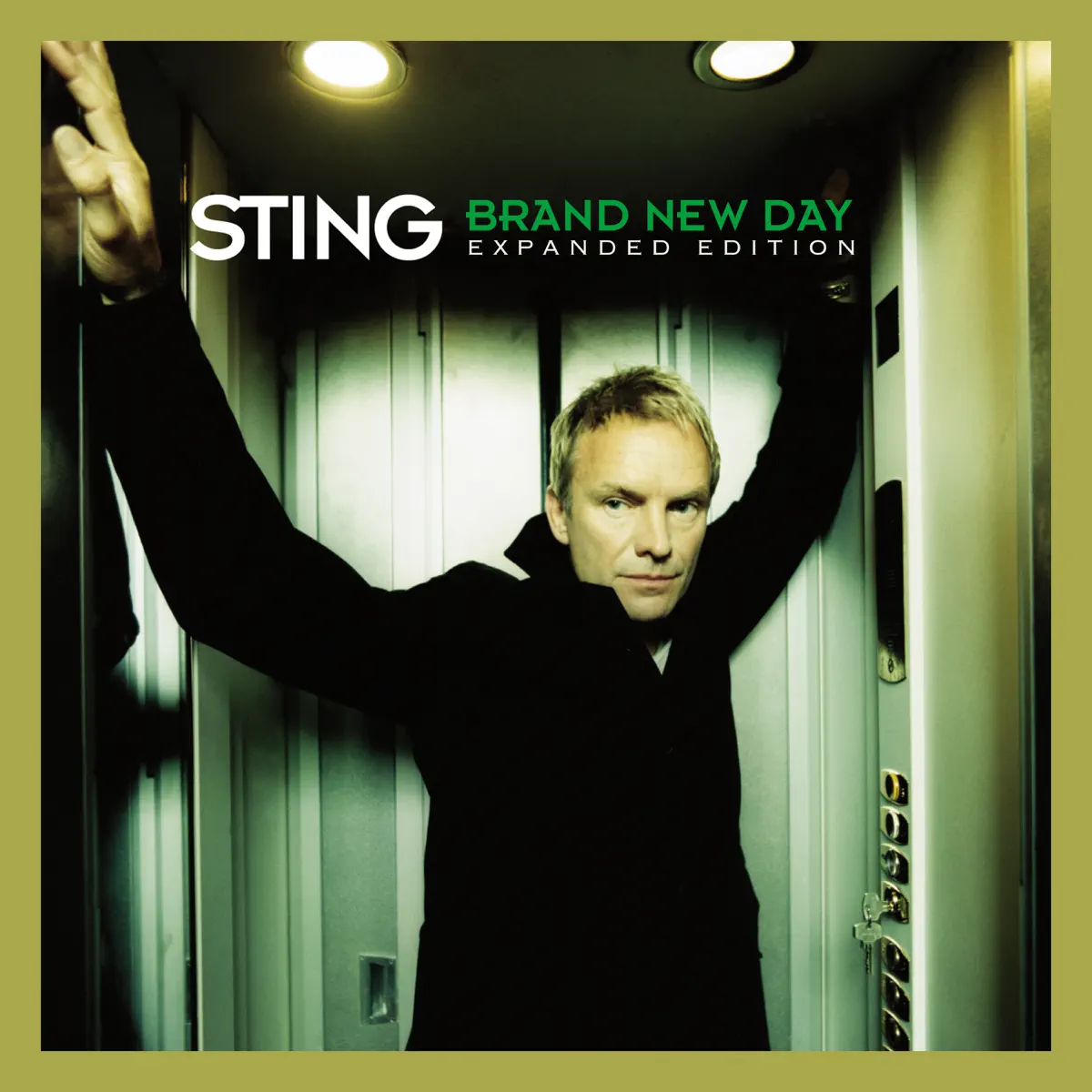 Sting - Brand New Day (Expanded Edition) (2024) [iTunes Plus AAC M4A]-新房子