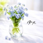 僕の光 - Single