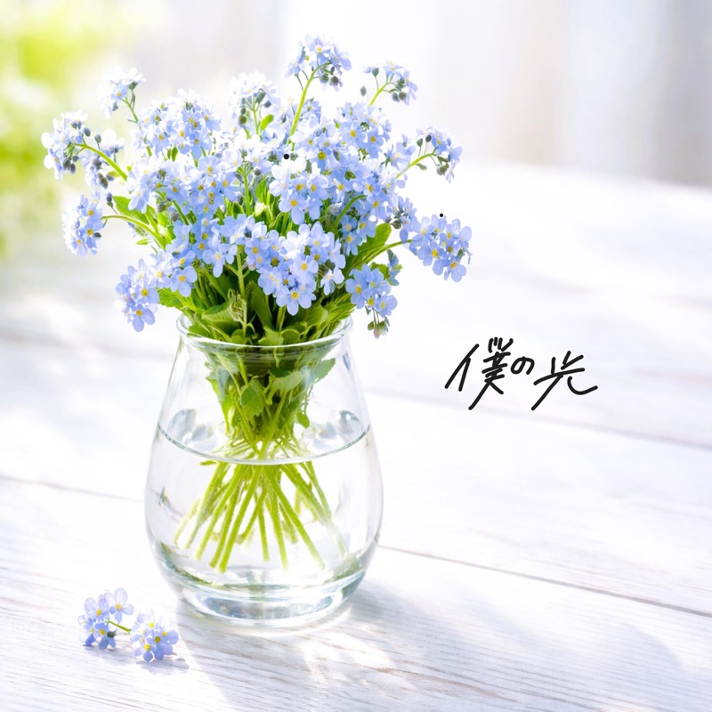 僕の光 - Single