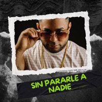 sin pararle a nadie (feat. 100tifico) - Single - Rapidynn