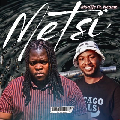 Metsi (feat. Neamz) - Single