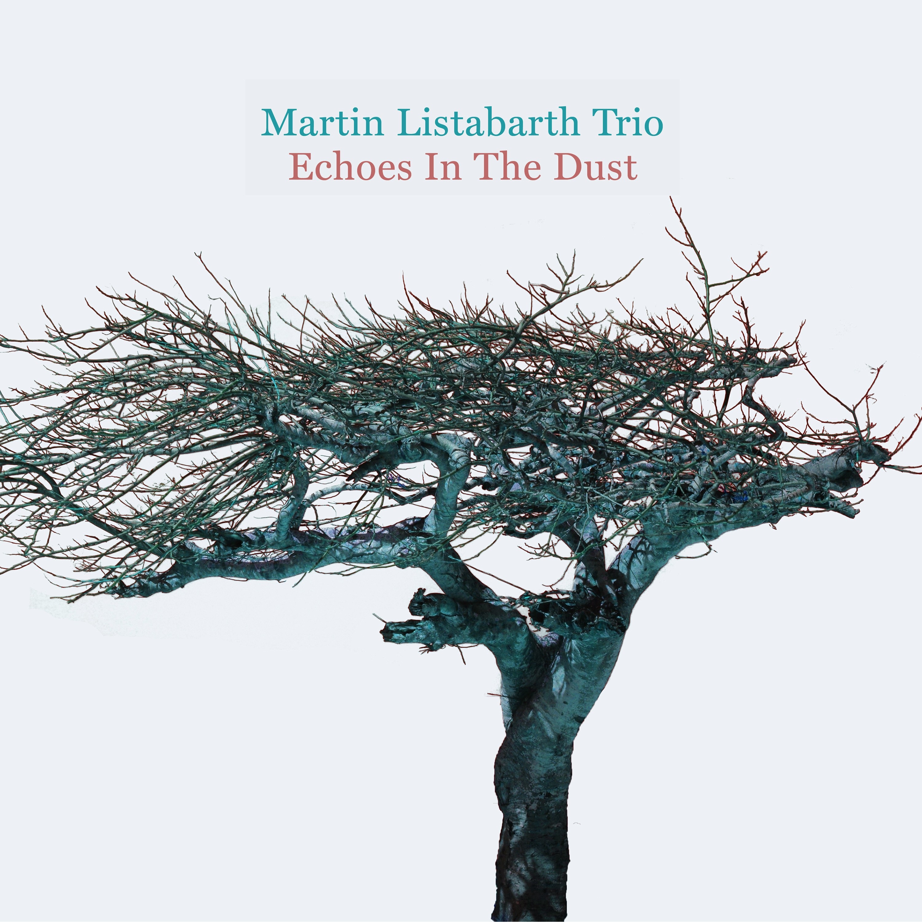 Echoes in the Dust - Single