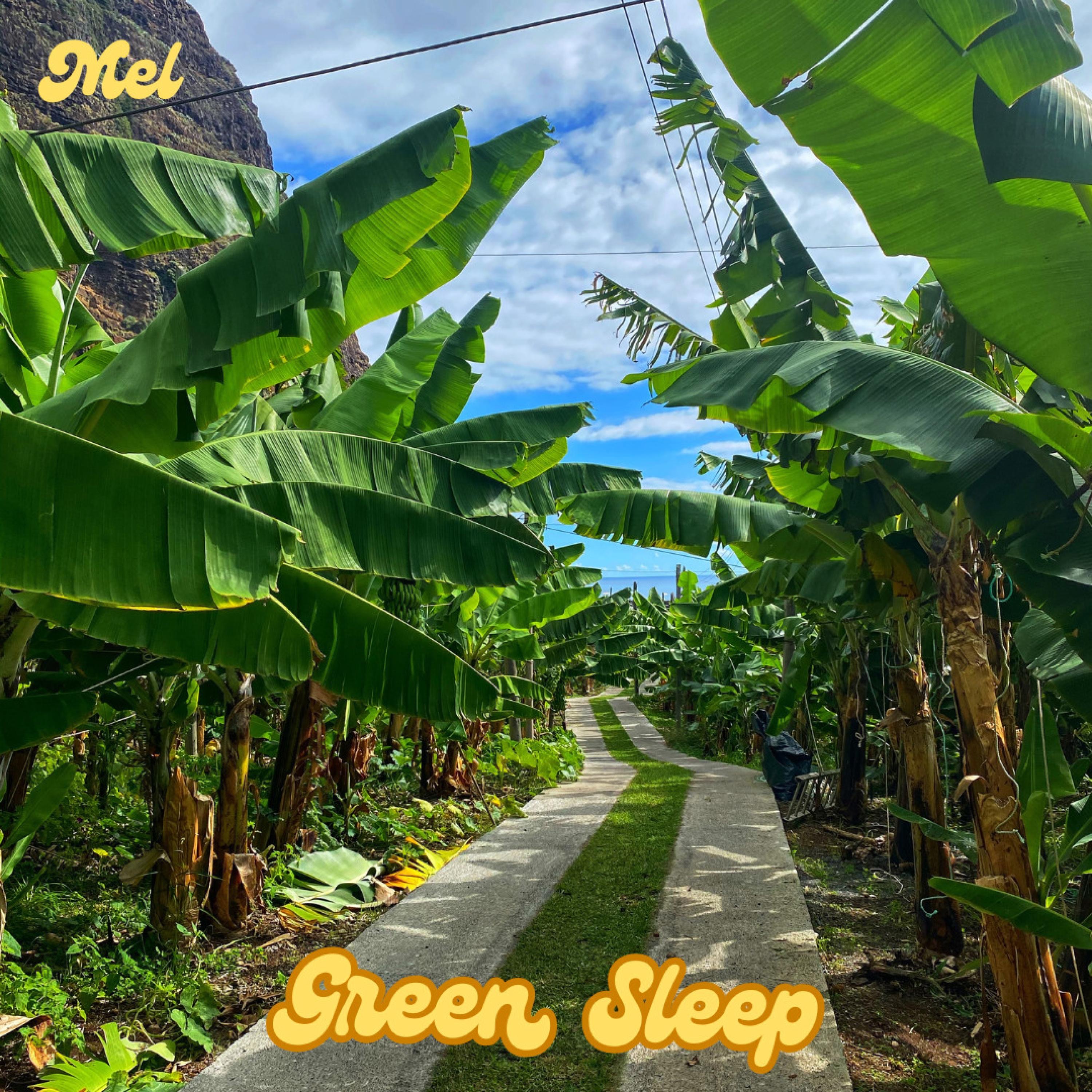 Green Sleep - EP