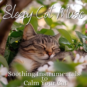 Sleepy Cat Music - Soothing Instrumentals to Calm Your Cat