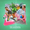 Te Gusta (feat. Guydo) - Single