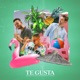 Te Gusta feat Guydo Single