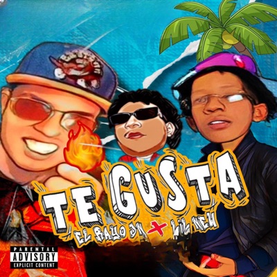 Te Gusta - Single