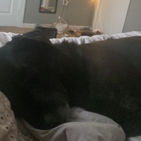 a sad voicemail - Single - Scarly