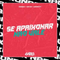 Se Apaixonar Não Vale - Single - CaiiqDJ, MC K9 & Mc levintty
