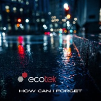 How Can I Forget - Single - Ecotek
