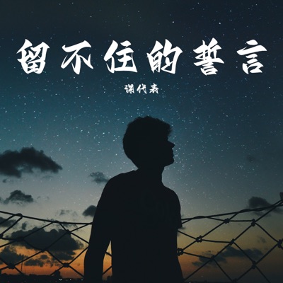 留不住的誓言 - Single