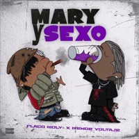 MARY Y SEXO (feat. Menol Voltaje & Flaco Moly) - Single - Caserio Record