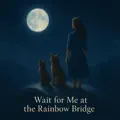 Wait for me at the Rainbow Bridge