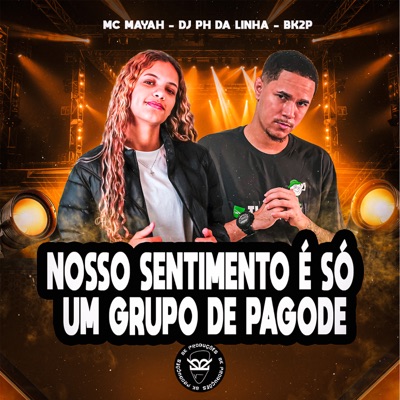 Nosso Sentimento É Só um Grupo de Pagode - Single