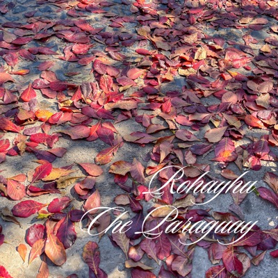 Rohayhu Che Paraguay - Single