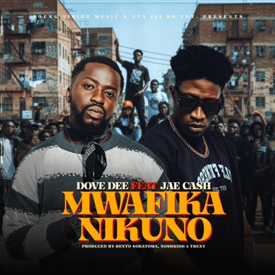 Mwafika Nikuno (feat. Jae Cash) - Single