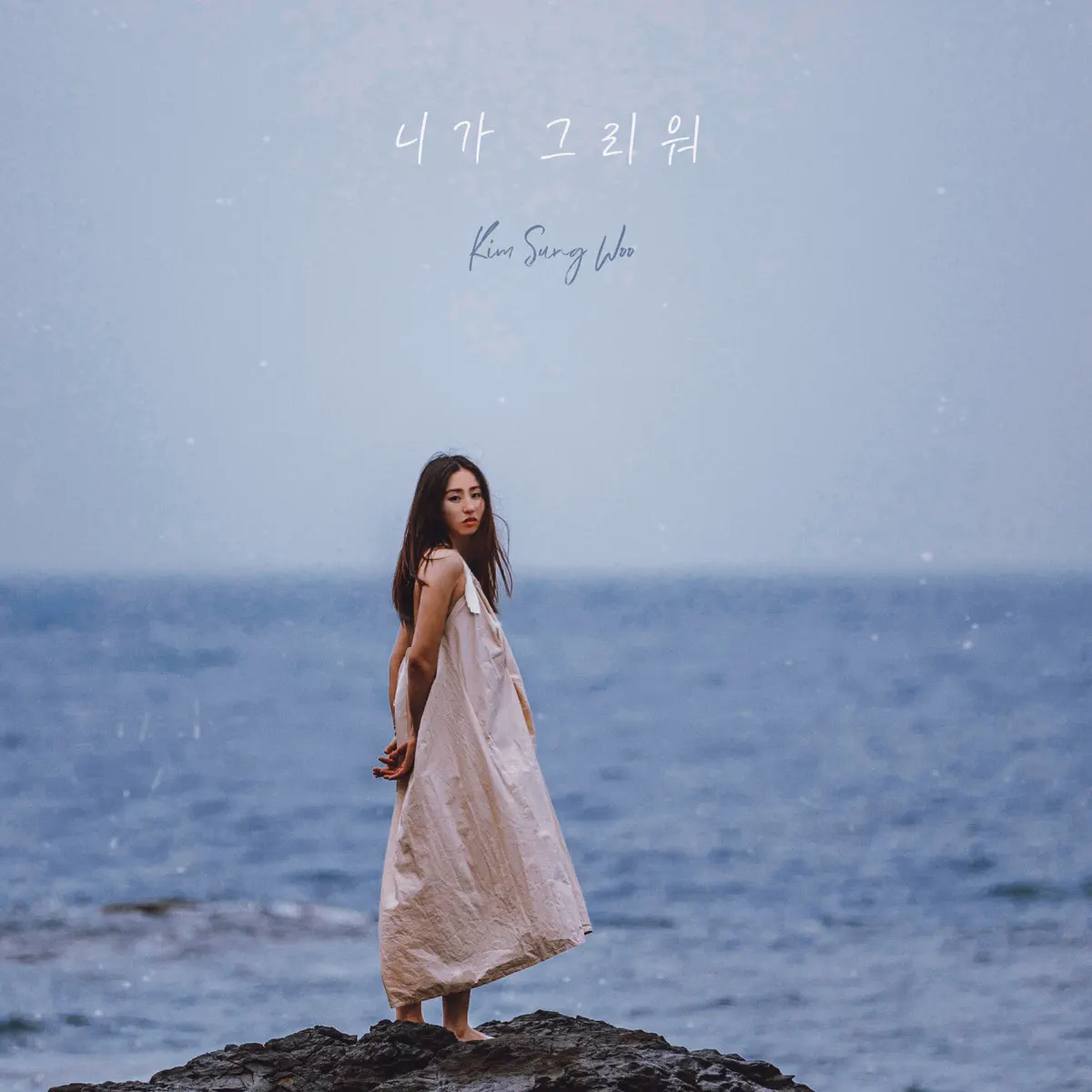 김성우 - 니가 그리워 - Single (2024) [iTunes Plus AAC M4A]-新房子