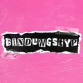Bindungstyp