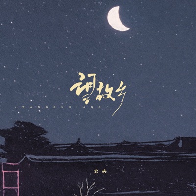 Fu Wen - 望故乡 (Dj阿诺版)