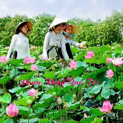 Đồng Tháp Quê Tôi