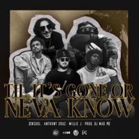 Till It's Gone Or Neva Know - Single - Dj Mad Pee, Zensoul & Anthony Cruz