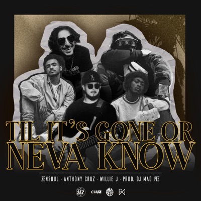 Till It's Gone Or Neva Know - Single
