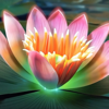 Lori Blaja - Anahata Chakra - I Am Connection - EP artwork