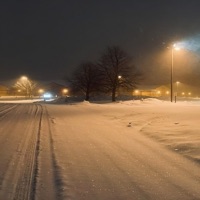 2024 - Single - Trace