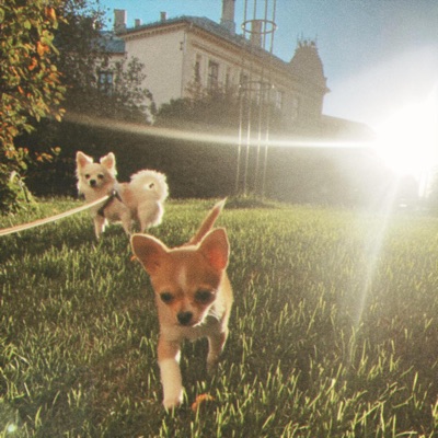 park day - Single