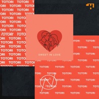 Totori - Single - Phizbarz & Afroplugs