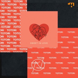 Totori Phizbarz & Afroplugs