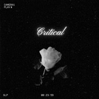 Critical - Single - vANE