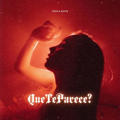 Que Te Parece? (feat. Ditto) - Single