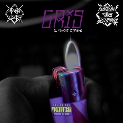 Gris (feat. EL PINCHE CIERVO) - Single