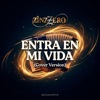 Entra En Mi Vida