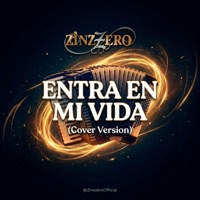 Entra En Mi Vida