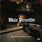 Malo Pervertido - Single