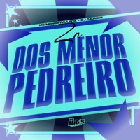 ZN Dos Menor Pedreiro - Single - DJ CAUAZIM & MC MENOR PAULISTA