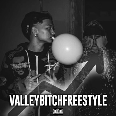 ValleyBitchFreestyle (feat. Playerfase) - Single